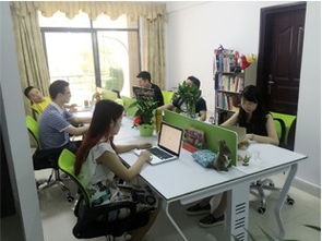 網站建設宣傳畫冊logo設計網頁設計平面設計